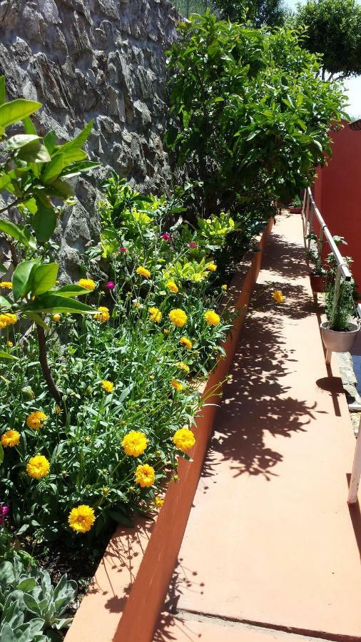 Vila "Mare" Banjol Εξωτερικό φωτογραφία